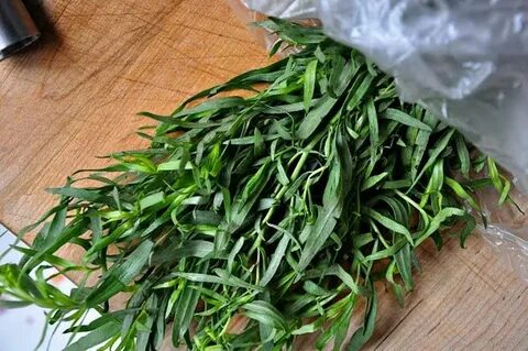 تصویر 4 از قیمت عمده فروشی سبزی ترخون خشک + ارسال سریع